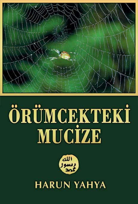 Örümcekteki Mucize